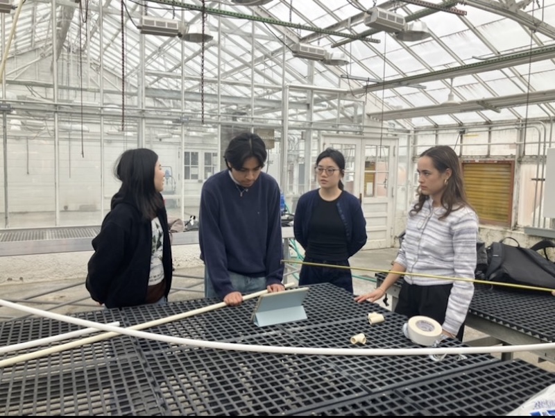 Aquaculture project photo 1