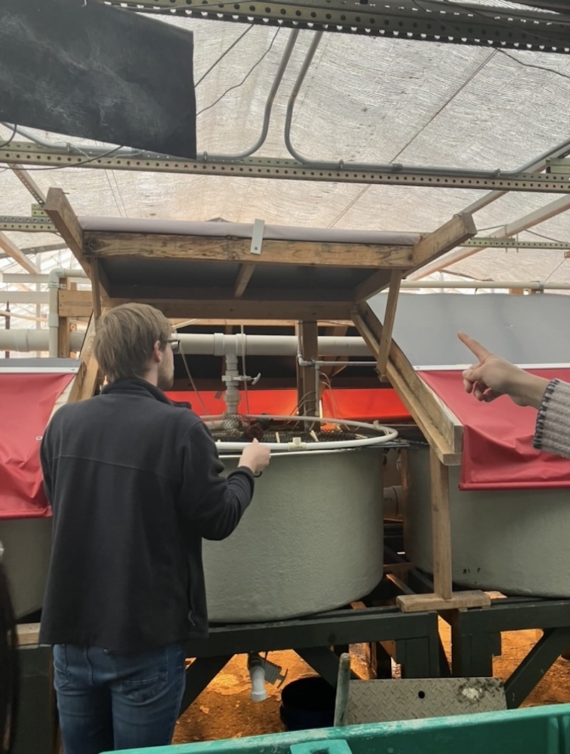 Aquaculture project photo 2