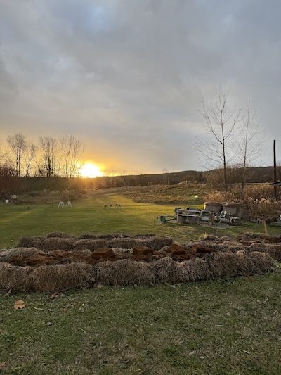 Soil Factory project photo 12